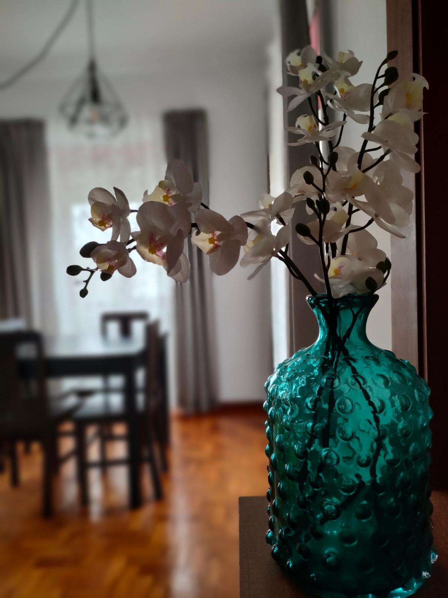 Apartamento Boavista ヴィラ・ノヴァ・デ・ガイア エクステリア 写真